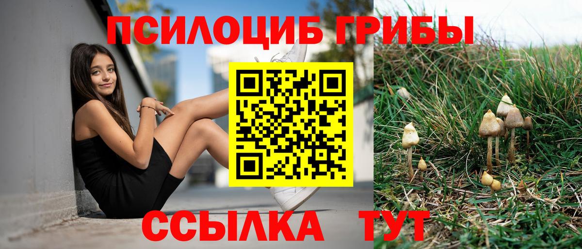 Галлюциногенные грибы GOLDEN TEACHER Мончегорск