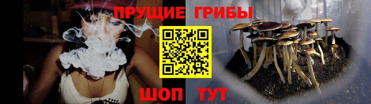 Псилоцибиновые грибы Magic Shrooms  Вход с VPN  Галлюциногенные грибы MAGIC MUSHROOMS  Мончегорск 
